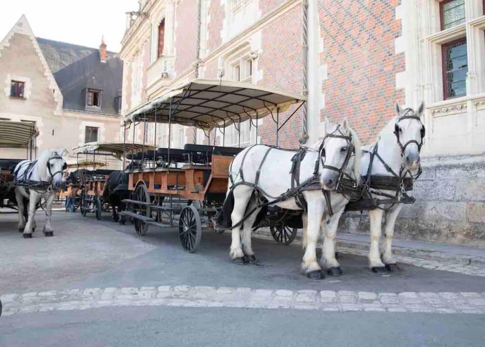 Petite Maison Avec Clim بلْوا المظهر الخارجي الصورة